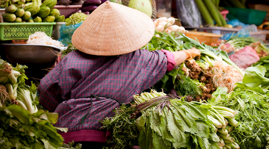 Staying Healthy While You Travel