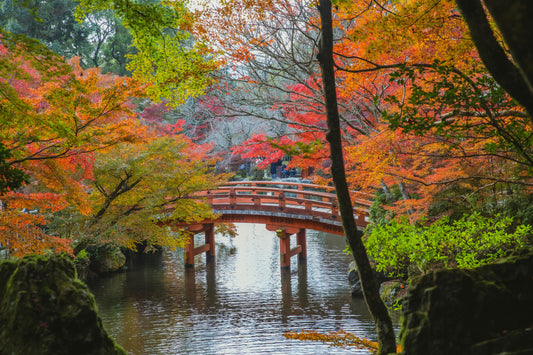 Botanical Gardens Worth Travelling For